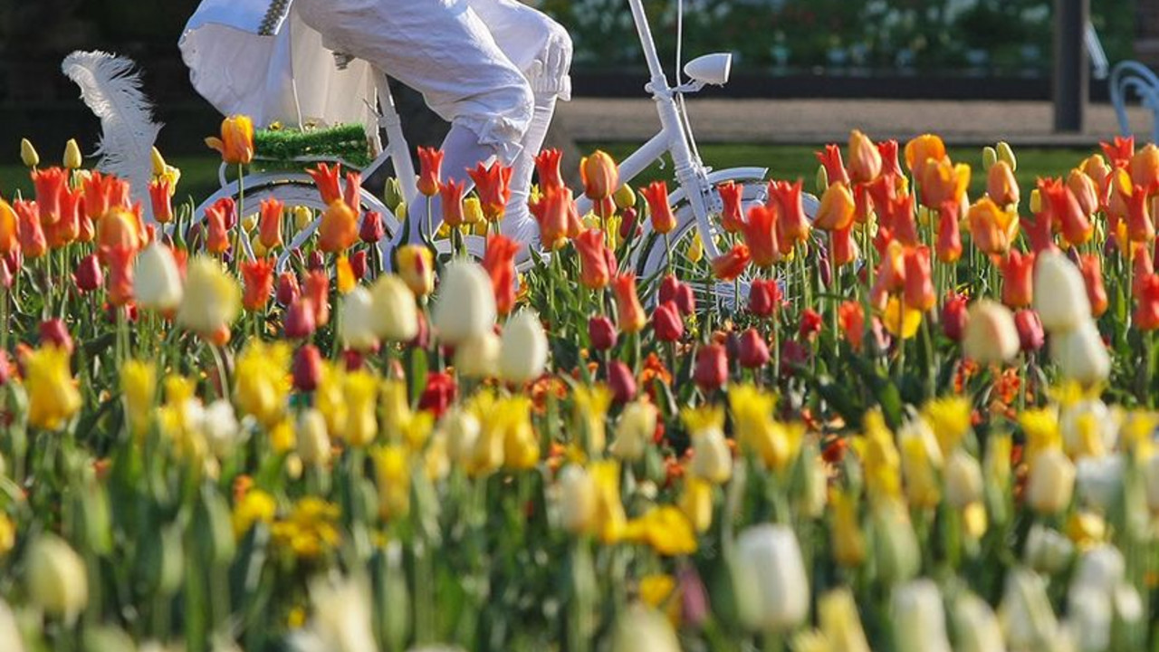 Blütenpracht in Koblenz; Foto: BUGA Koblenz 2011 GmbH