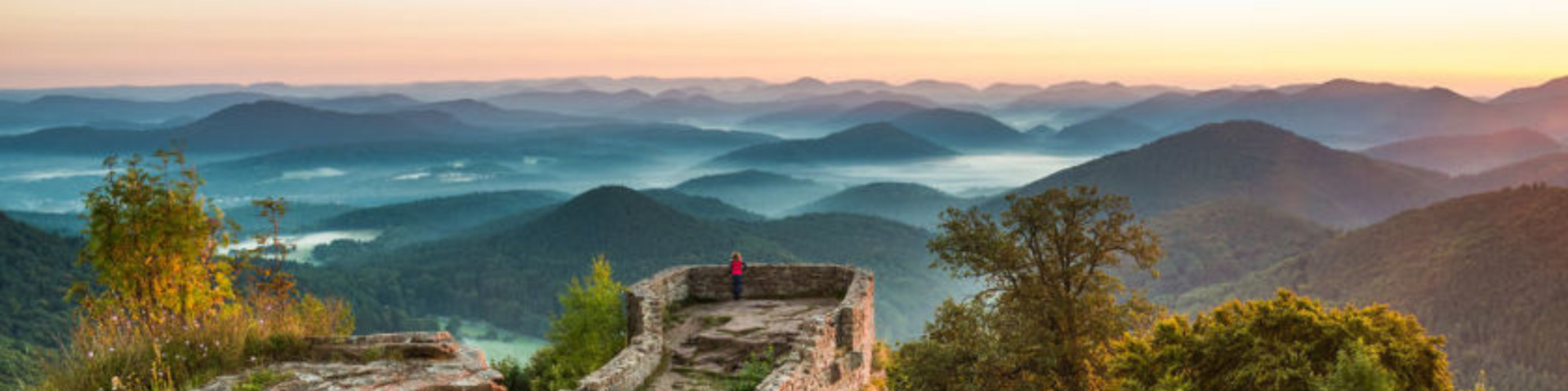 Ausblick von der Wegelnburg