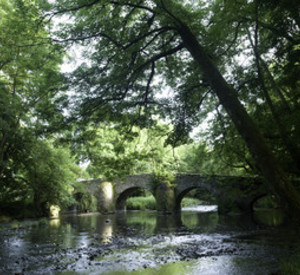 Brücke im Nistertal; Bild: Bilddatenbank RLP