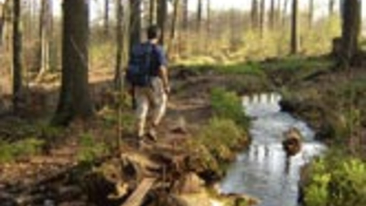 Wanderer im Hunsrück; Bild: rlp-Archiv