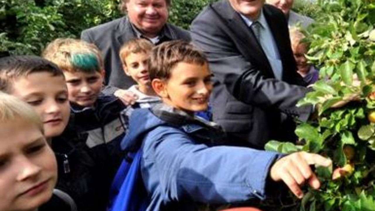 Hering und Schüler bei der Apfelernte; Bild: Ministerium
