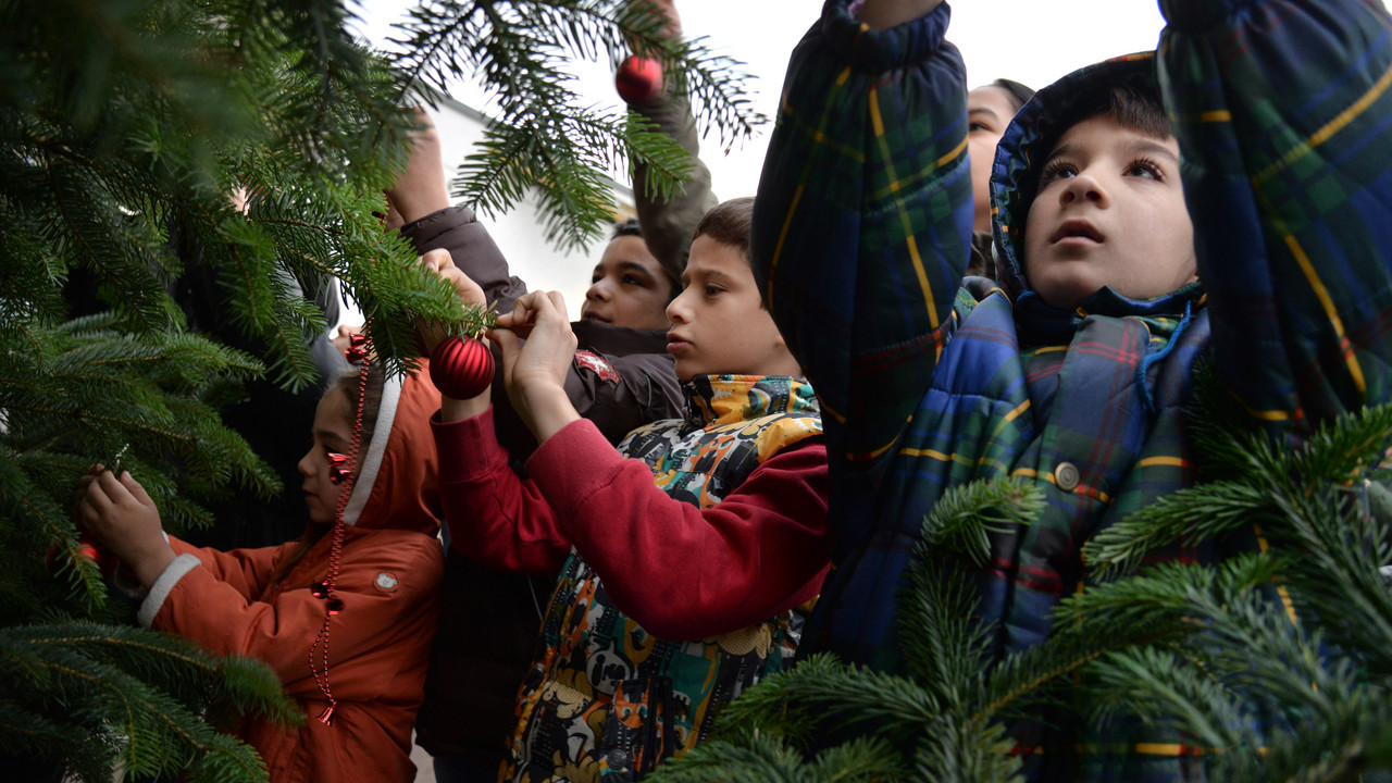 Übergabe eines Weihnachtsbaums in der AfA Trier