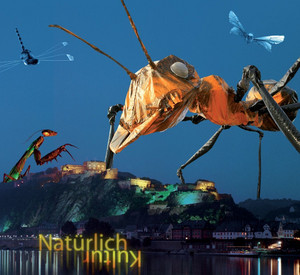 Eröffnungsplakat Kultursommer 2011