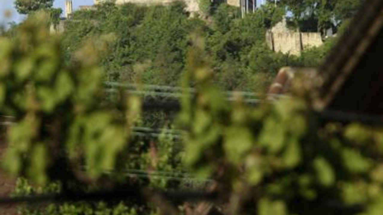 Das Hambacher Schloss wurde von der Europäischen Kommission zum Europäischen Kulturerbe ernannt; Bild: dpa.