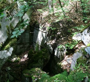 Bunkerruine des Westwalls; Bild: BUND