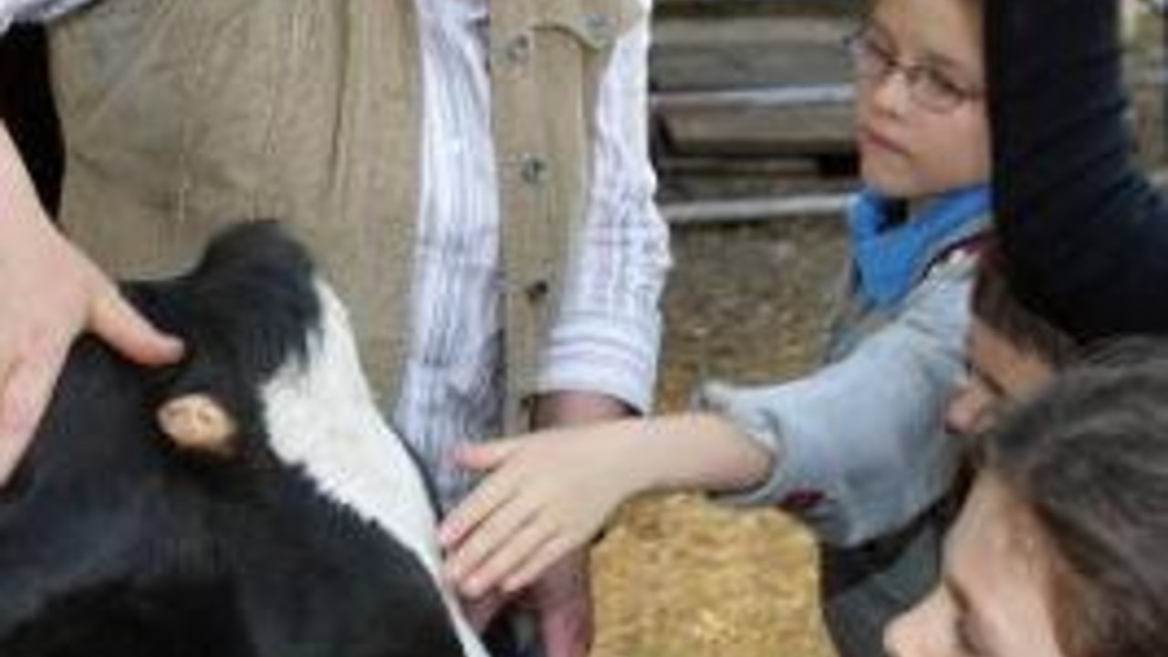 Der Bauernhof dient als Klassenzimmer; Bild: dpa