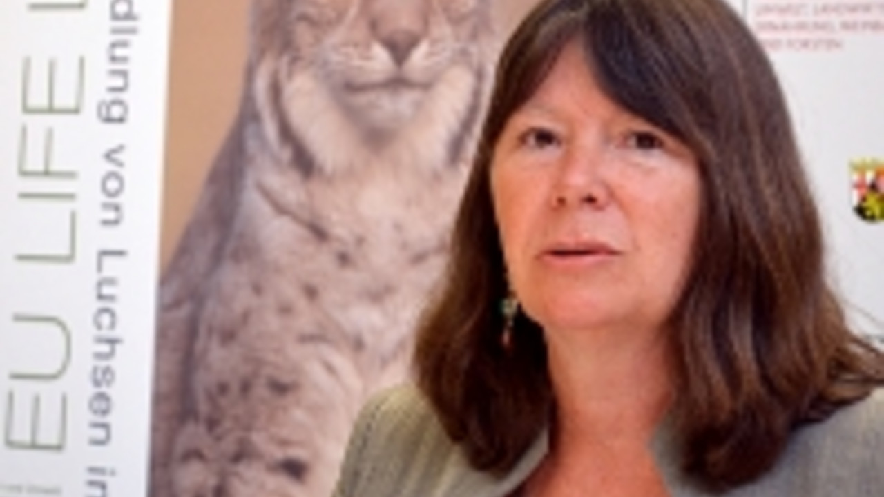 Ministerin Höfken stellt die Projekte vor. Bild: Ministerium