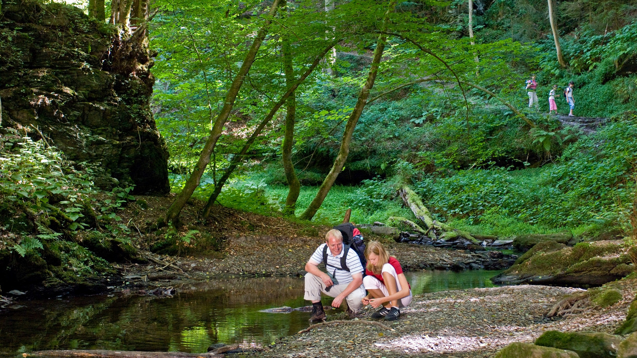 Die rheinland-pfälzische Ehrbachklamm zählt zu den schönsten Wanderwegen in ganz Deutschland