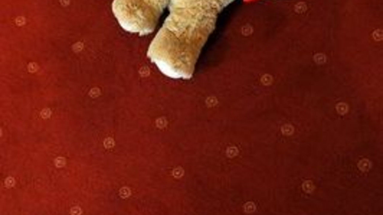 Teddybär in einer Beratungsstelle gegen sexuelle Gewalt; Bild: dpa