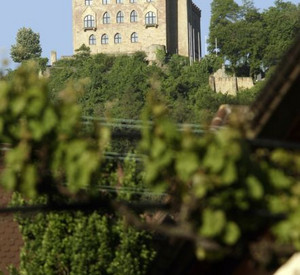 Hambacher Schloss; Bild: dpa