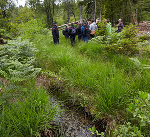 An Pfingsten können die ersten Besucher den Nationalpark Hunsrück-Hochwald erkunden; Bild: dpa