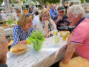 Malu Dreyer beim Frühschoppen der Landesregierung auf dem Rheinland-Pfalz-Tag in Bad Ems.