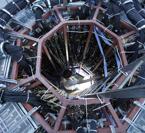 Neuronal System; Bild: Thomas Hartmann
