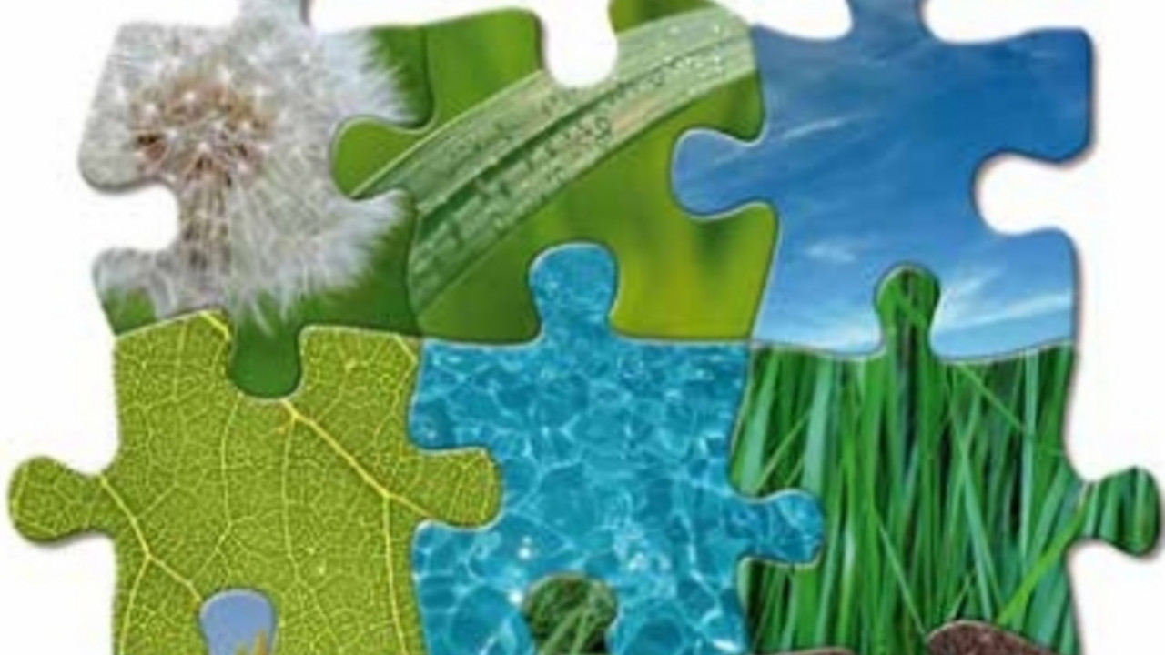 Titelbild des Flyers zum Umweltpreis 2014