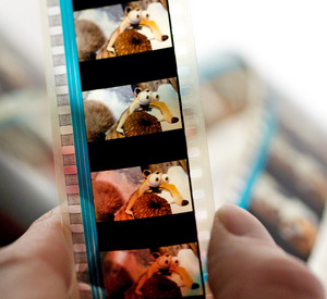 Filmrolle; Bild: dpa