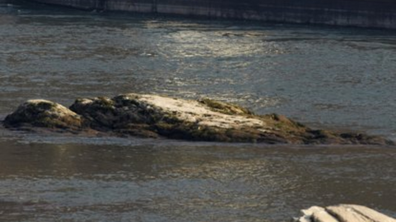 Niedrigwasser am Rhein; Bild: rlp-Archiv, dpa (2011)