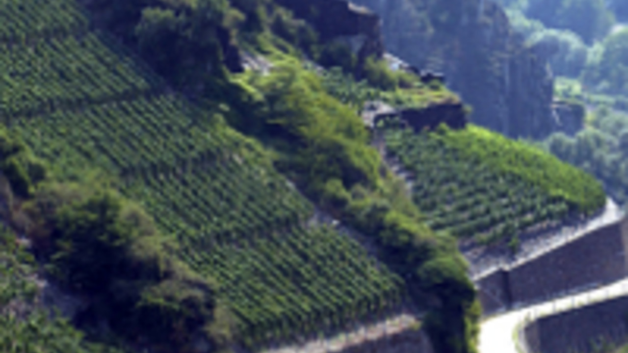 Weinberge an der Ahr; Bild: Deutsches Weininstitut
