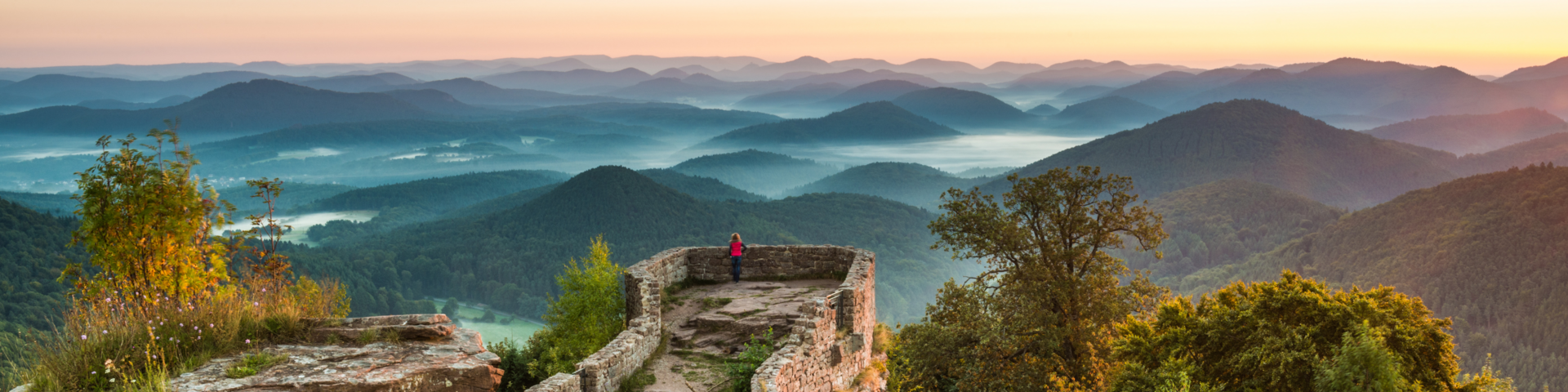 Ausblick von der Wegelnburg