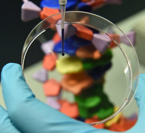 Aufwärtstrend bei Biotechnologie; Foto: dpa