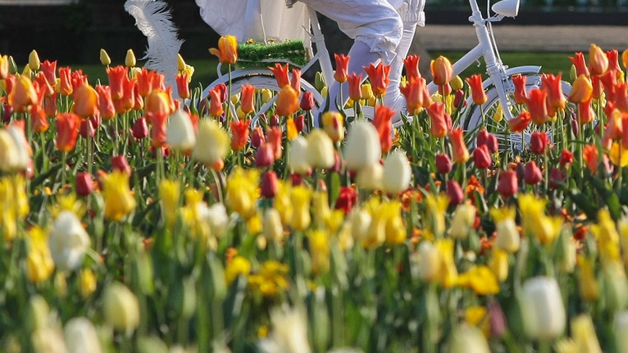 Bundesgartenschau 2011; Bild: rlp-Archiv / Piel