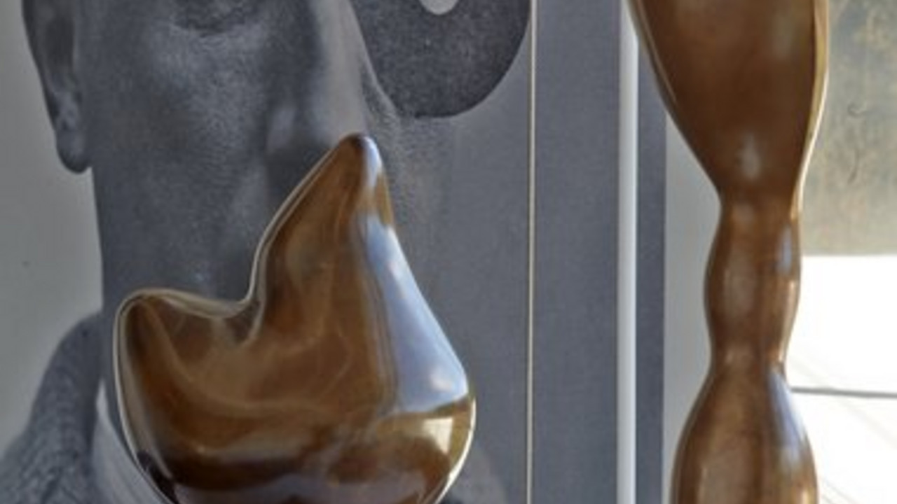Skulpturen von Hans Arp im gleichnamigen Museum in Rolandseck; Bild: dpa
