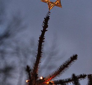 Tannenbaum mit Davidstern; Bild: dpa
