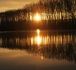 Polder Ingelheim; Bild: dpa