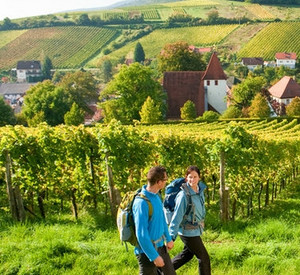 Wanderer auf dem Pfälzer Weinsteig bei Leinsweiler. Bild: rlp-Tourismus