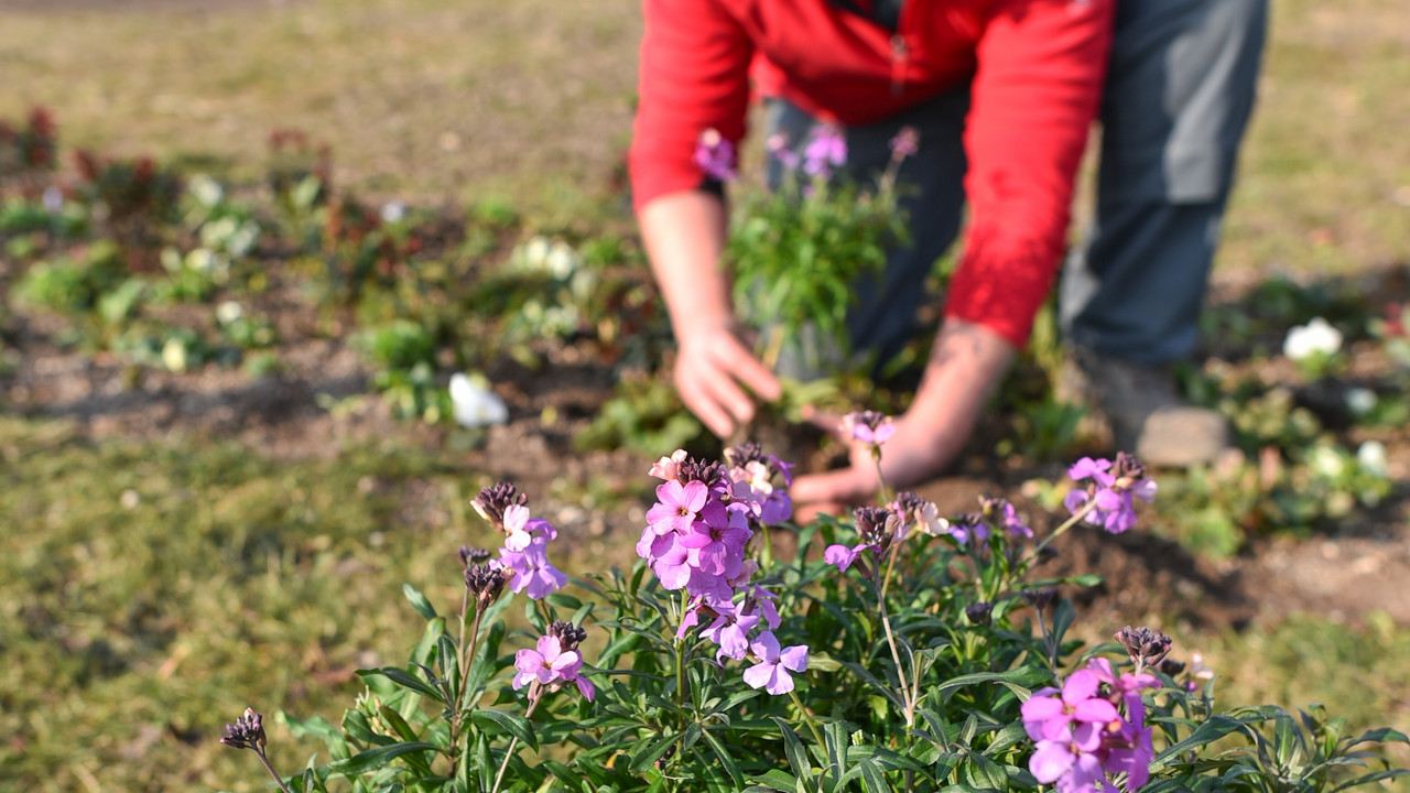 Die Vielfalt der Landesgartenschau zeigt sich nicht nur im Blumenbeet; Bild: dpa