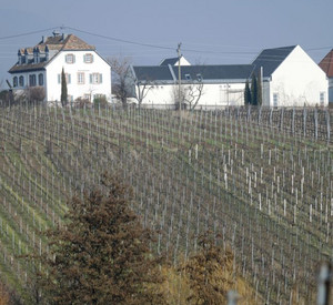 Künstlerhaus in Edenkoben; Bild: dpa