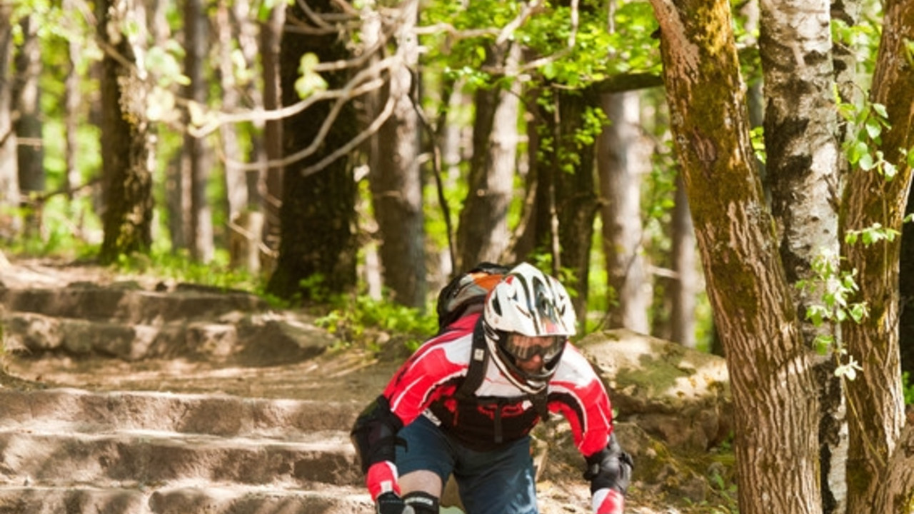 Mountainbike im Pfälzer Wald; Bild: RLP Tourismus