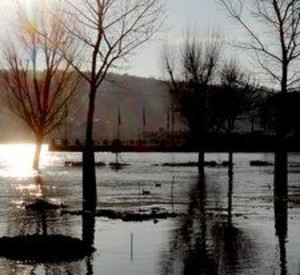 Hochwasser; Bild: dpa