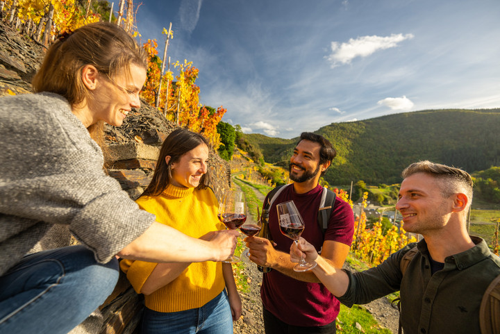 Glückliche Gruppe mit Wein in Rheinland-Pfalz
