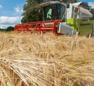 Bundesrat hat sich für den Schutz von gentechnikfreier Landwirtschaft in den Bundesländern ausgesprochen; Bild: rlp-Archiv
