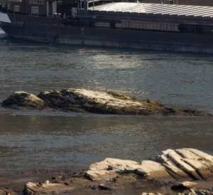Niedrigwasser am Rhein; Bild: rlp-Archiv, dpa (2011)