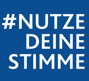 Bild zeigt den Hashtag #NutzeDeineStimme in Kombination mit Europasternen, einer Wahlurne und Menschen vor Häusern.