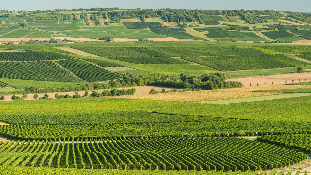 Ökologischer Landbau
