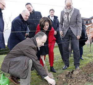 Ministerpräsidentin Malu Dreyer hat einen Rebstock im Mainzer Prominenten-Weinberg unterhalb der Zitadelle gepflanzt; 