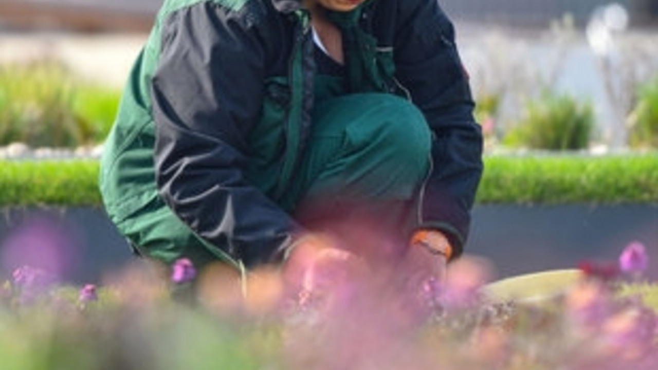 Gärtnerin bei der Arbeit auf dem Gelände der Landesgartenschau; Bild: dpa