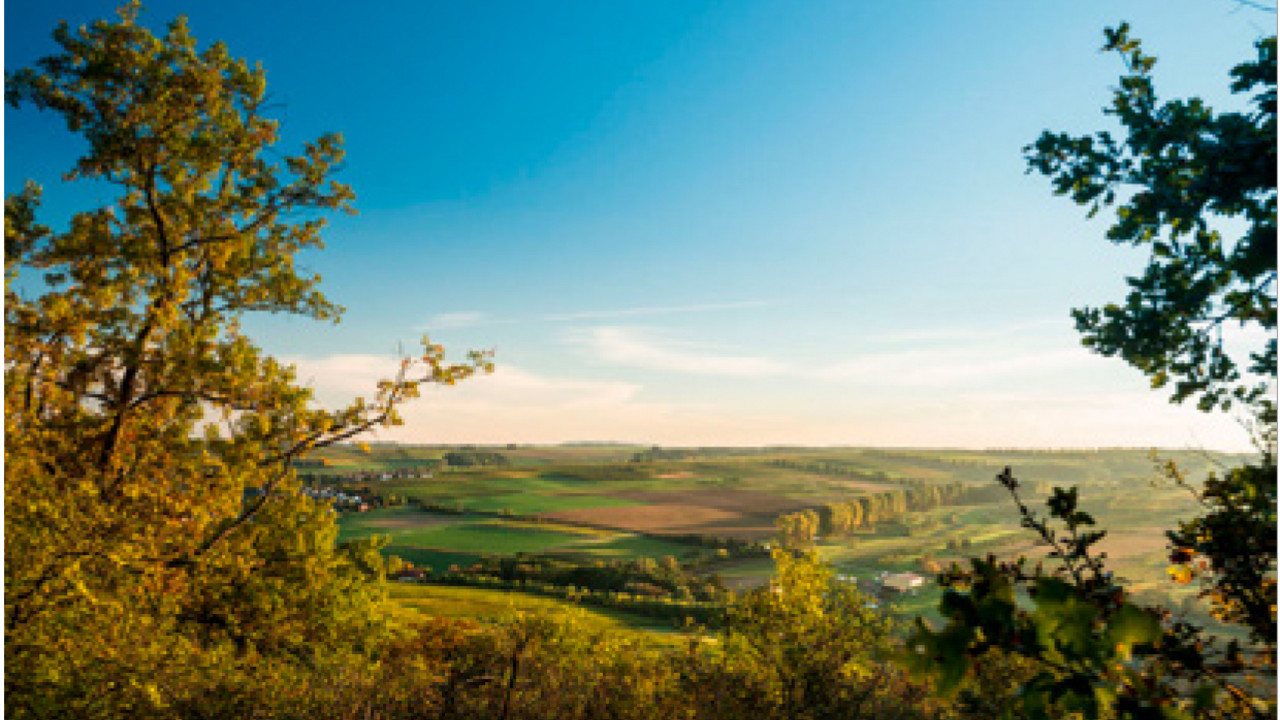 Landschaftsaufnahme RLP