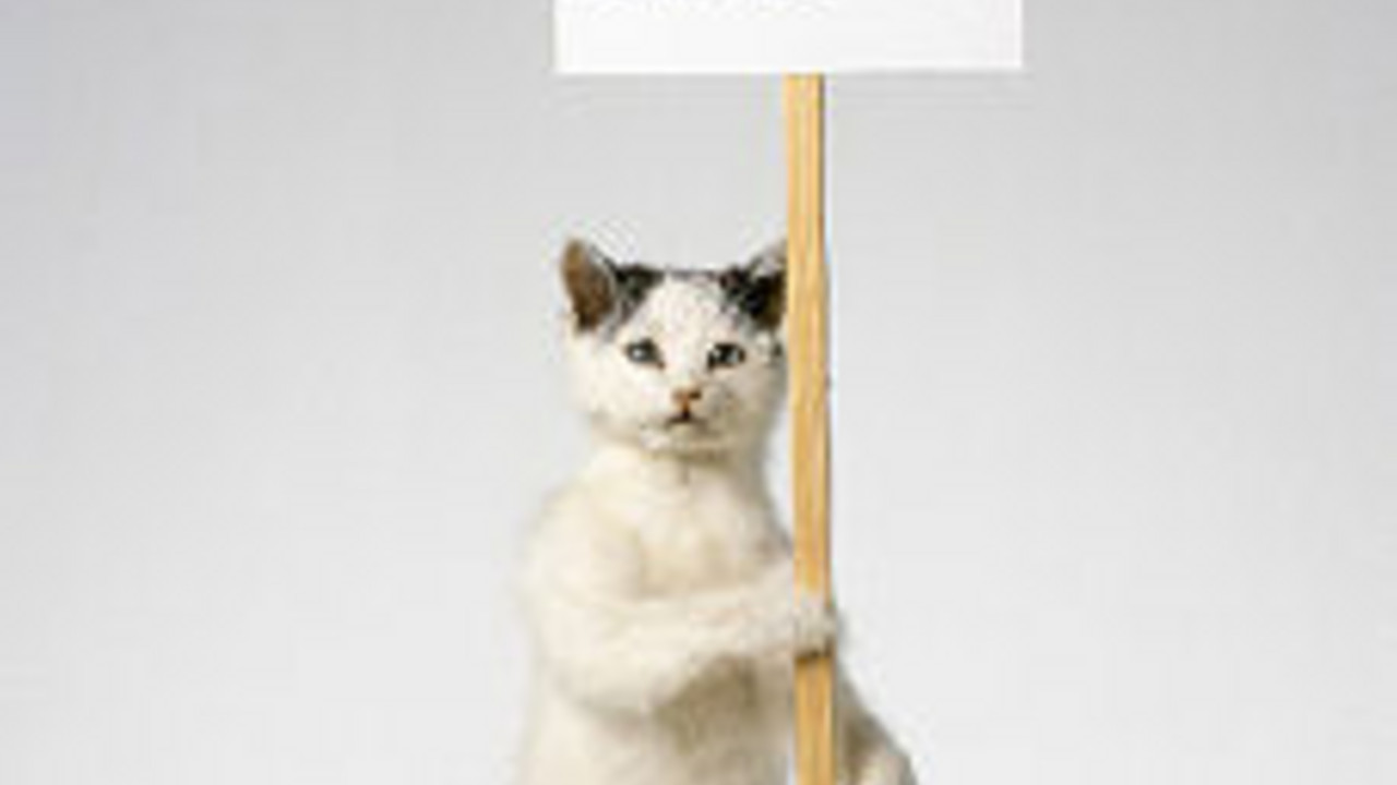 David Shrigley: "IÂ´m dead", 2007