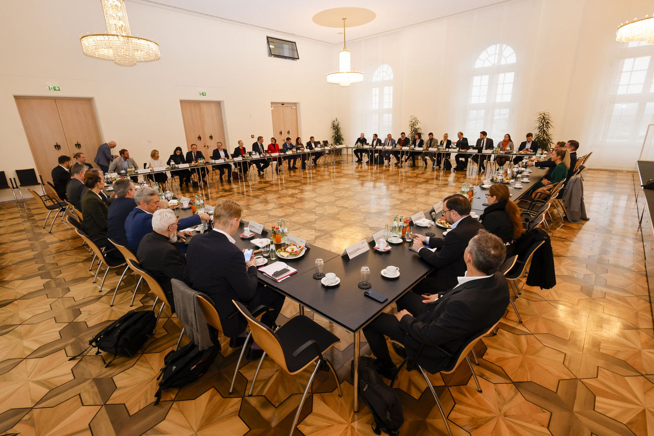 Netzbündnis RLP