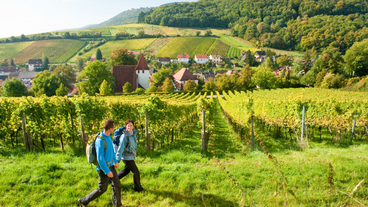 Wanderer auf dem Pfälzer Weinsteig; Bild: rlp-Tourismus GmbH