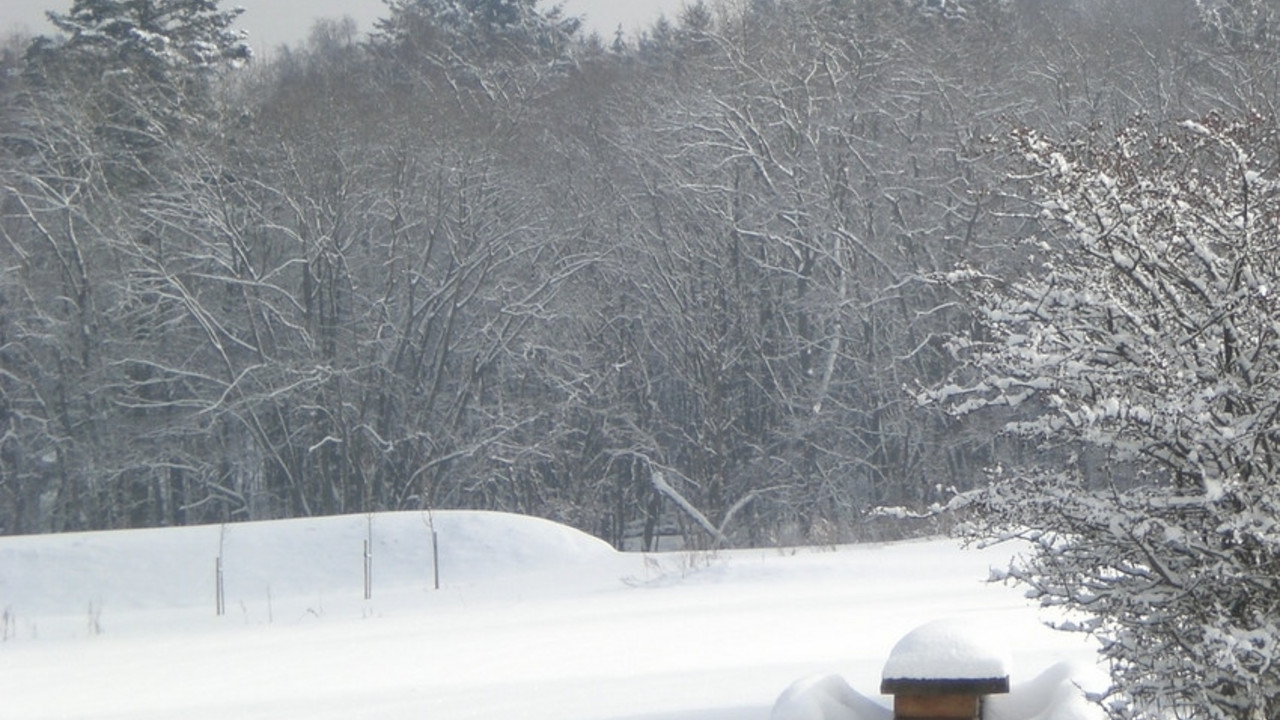 Winterlandschaft