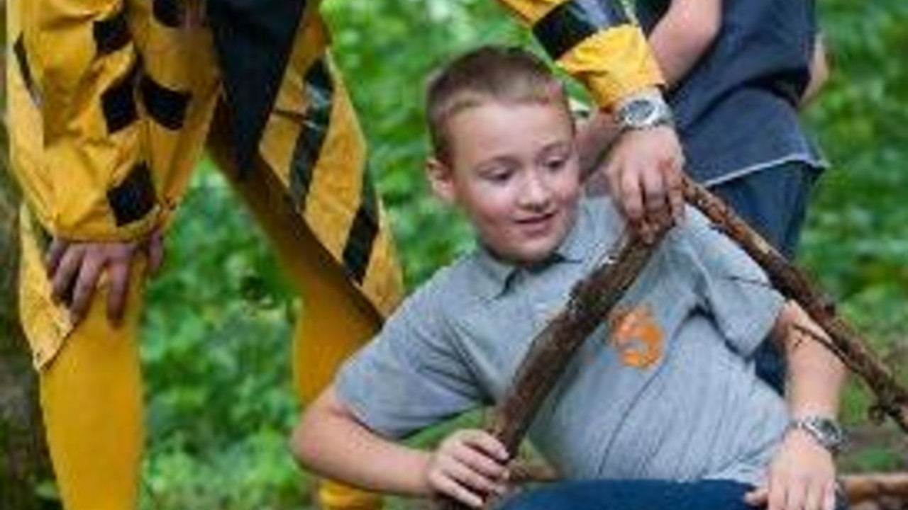 Bei den Wald-Jugendspielen lernen Schulklassen spielerisch die Besonderheiten des Waldes kennen; Bild: Dpa