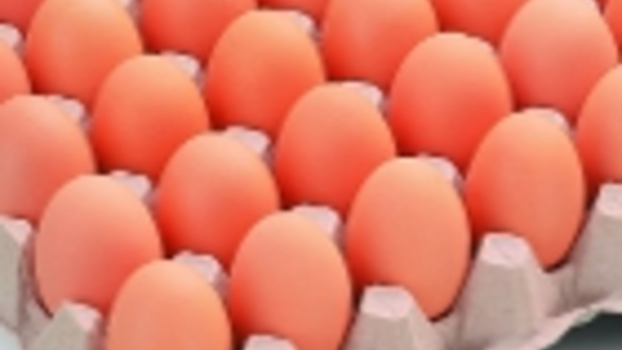 Eier-Charge; Bild: mufv