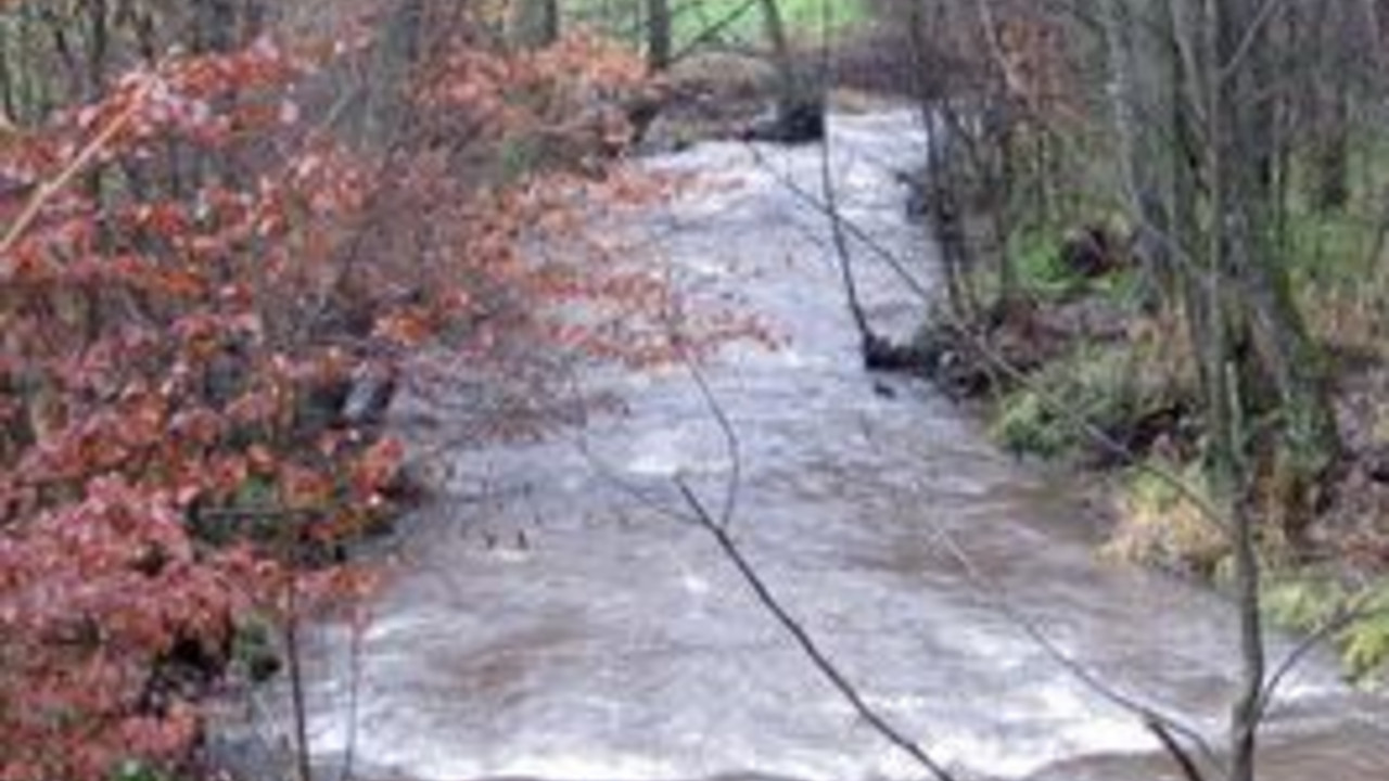 Seit 2009 hat sich bei etwa zehn Prozent der Flüsse und Bäche im Land die Wasserqualität verbessert; Bild: dpa